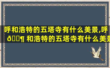呼和浩特的五塔寺有什么美景,呼 🐶 和浩特的五塔寺有什么美景和 🌾 特点